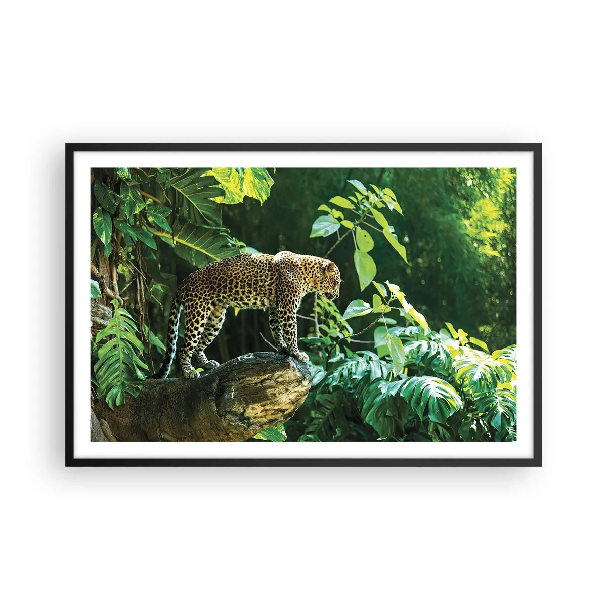 Poster in black frame - Going Hunting? - 91x61 cm