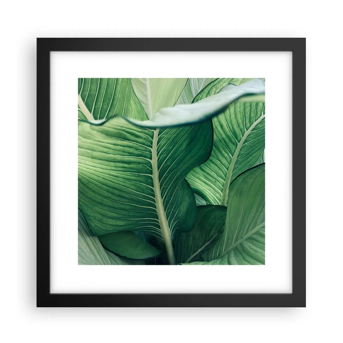 Poster in black frame - Life in Intense Green Colour - 30x30 cm