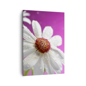 Canvas picture - Modest in Its Beauty - 50x70 cm