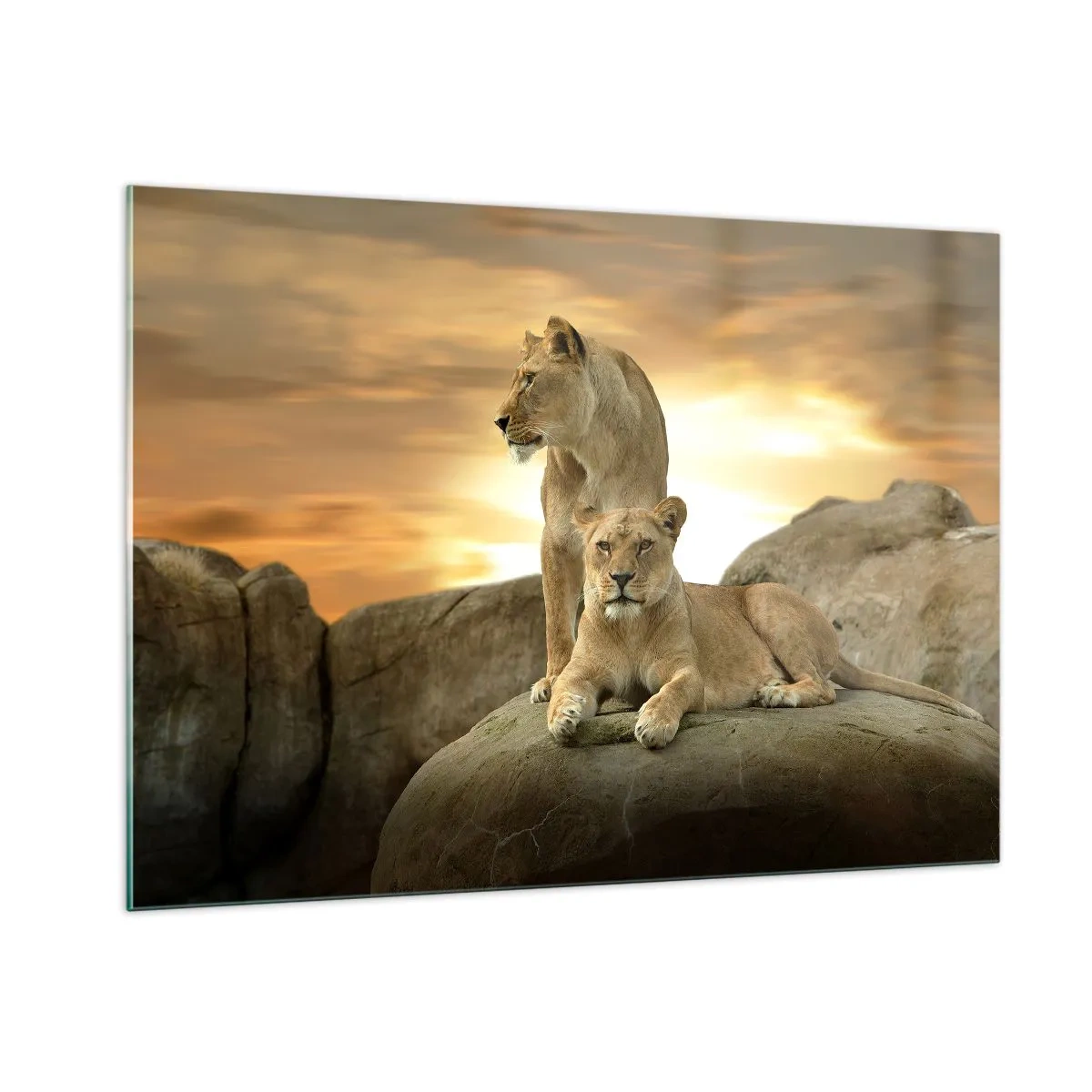 Glass picture - Royal Majesty - 100x70 cm