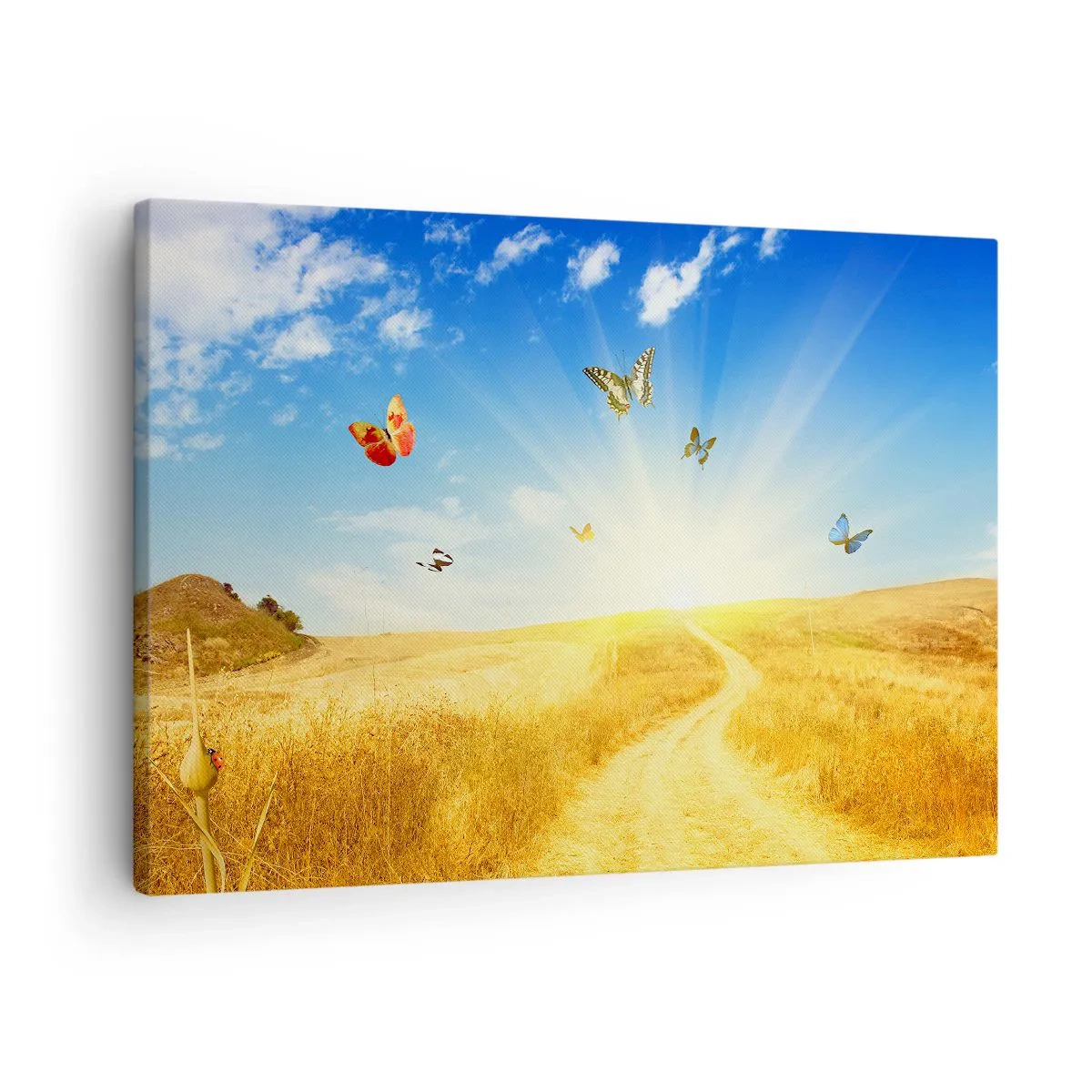 Canvas picture - A golden field, a path, and butterflies against a blue sky - 70x50cm - How Can You Not Love the Summer? - Modern wall decoration for the living room and bedroom ARTTOR