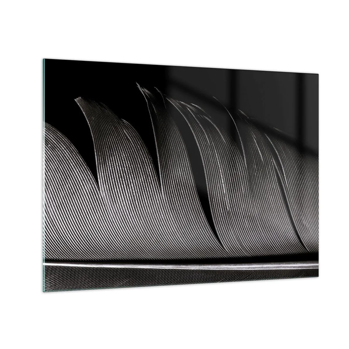 Glass picture - A black and white close-up of a feather shown against a contrasting light. - 70x50cm - Feather - Wonderful Constract - Modern wall decoration for the living room and bedroom ARTTOR