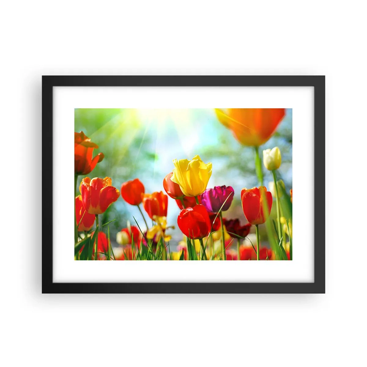 Poster in black frame - All Colours of the Sun - 40x30 cm