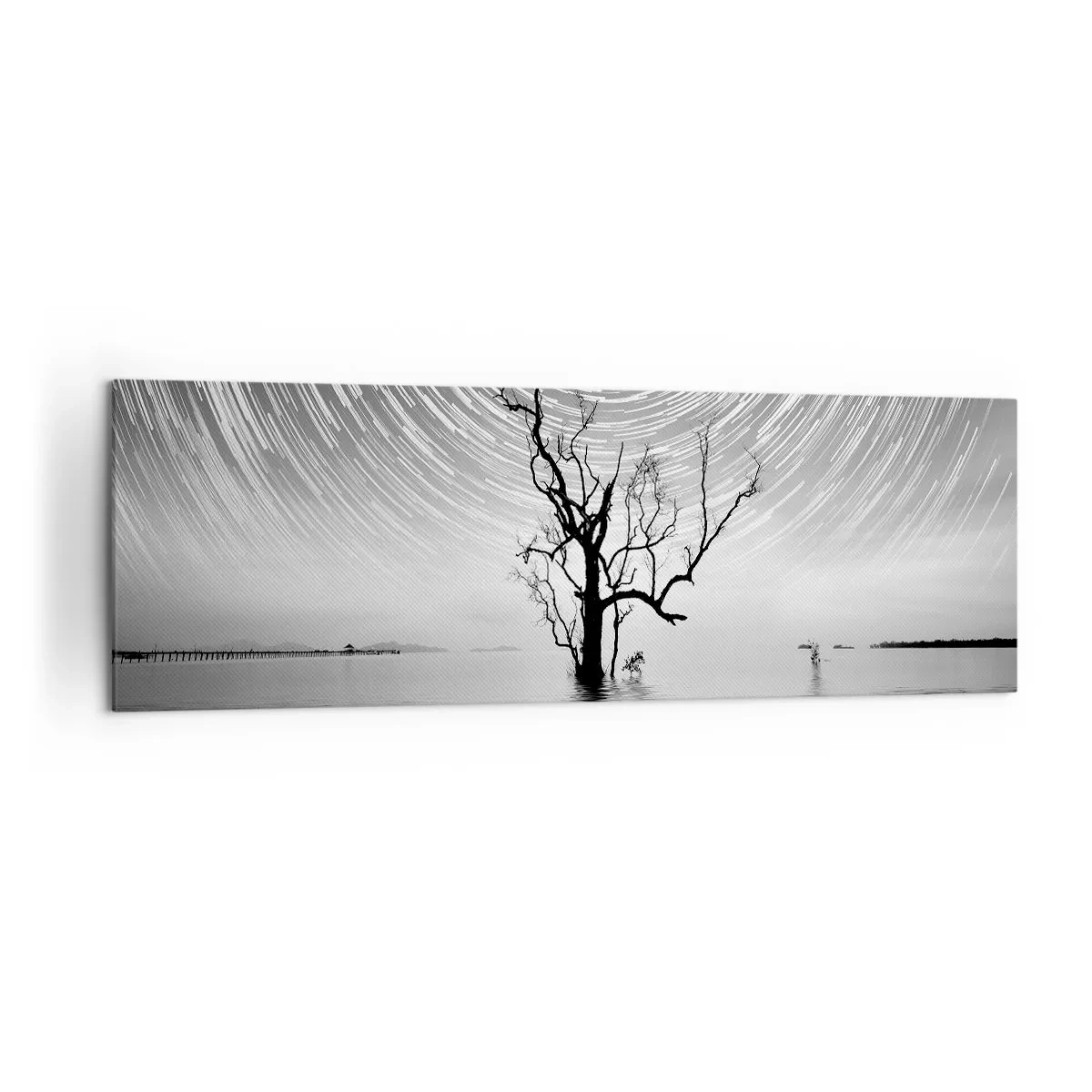 Canvas picture - Symphony of Nature - 160x50 cm