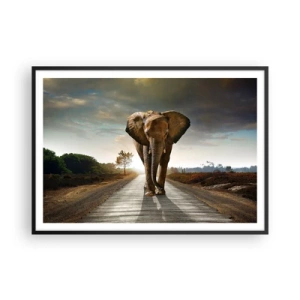 Poster in black frame - Not in a China Shop - 100x70 cm