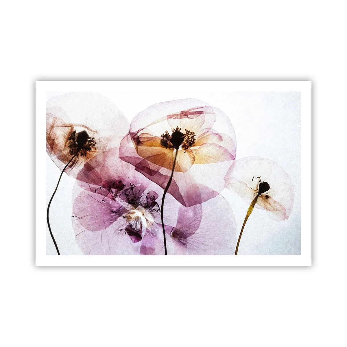 Poster - Flower Body Slide - 91x61 cm