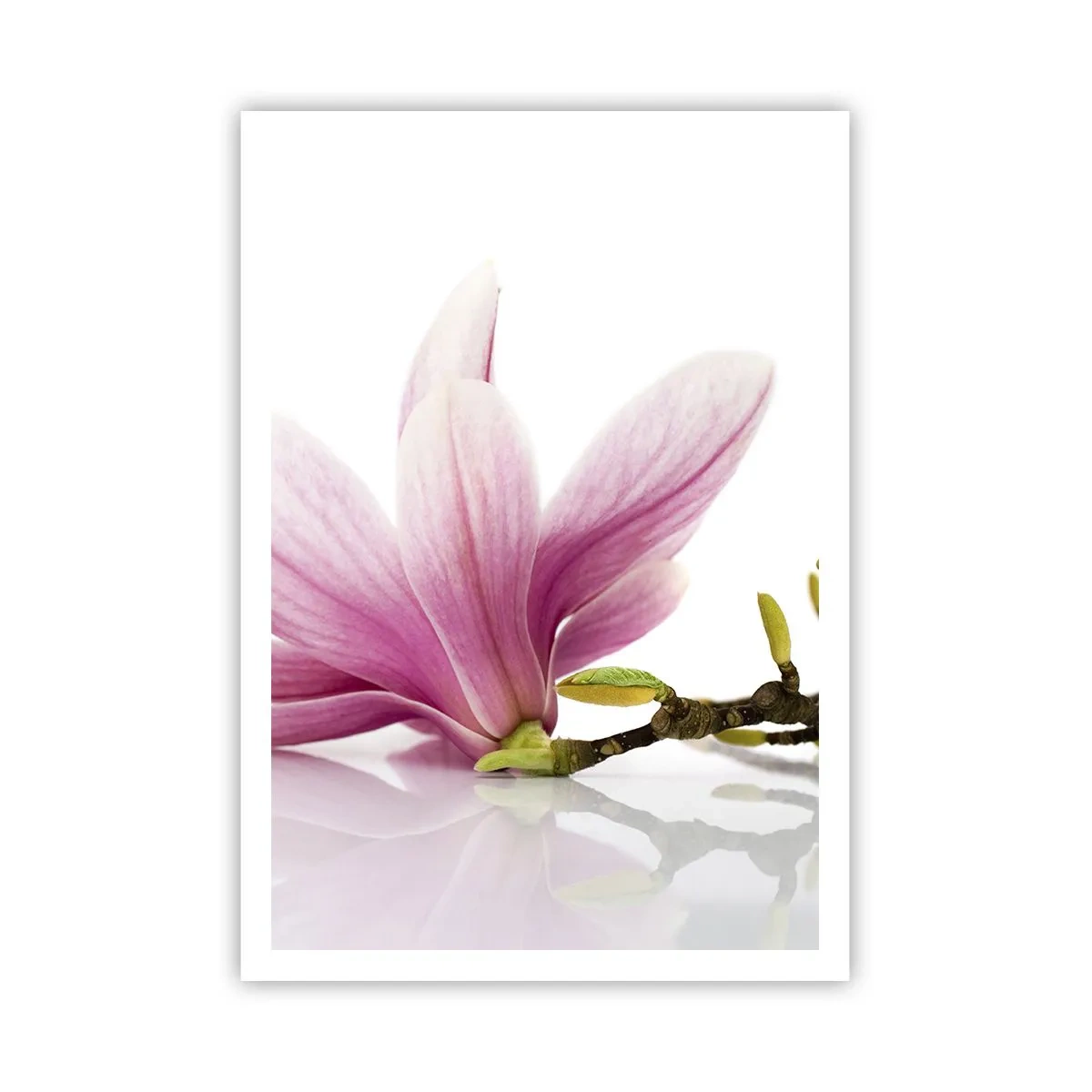 Poster - Delicate Like a Spring Breeze - 70x100 cm