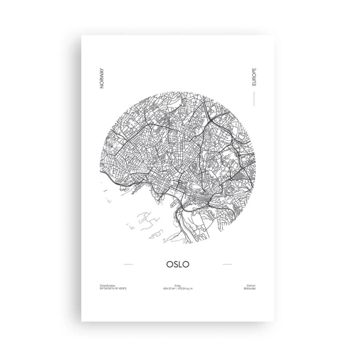Poster - Anatomy of Oslo - 61x91 cm