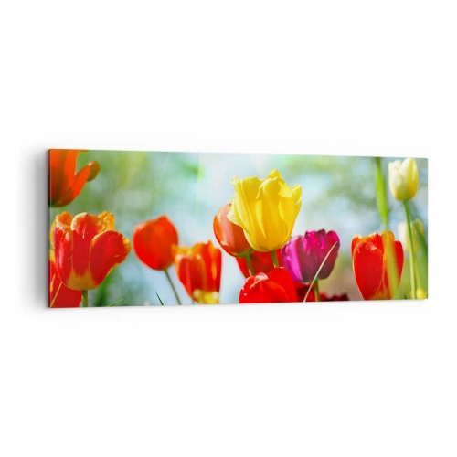 Canvas picture - All Colours of the Sun - 140x50 cm
