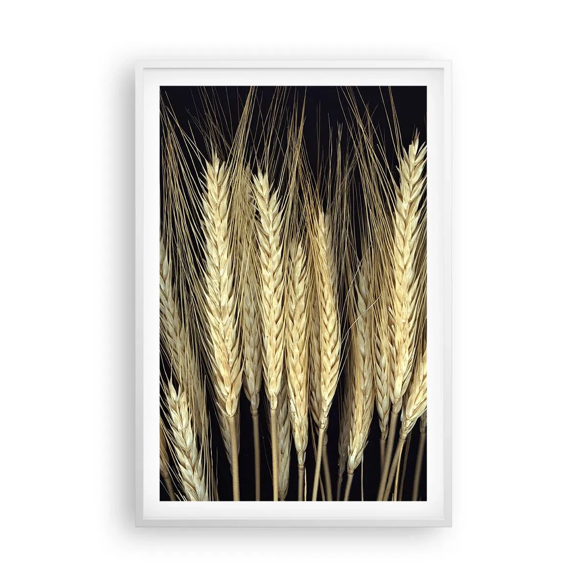 Poster in white frmae - Rustic Magic - 61x91 cm