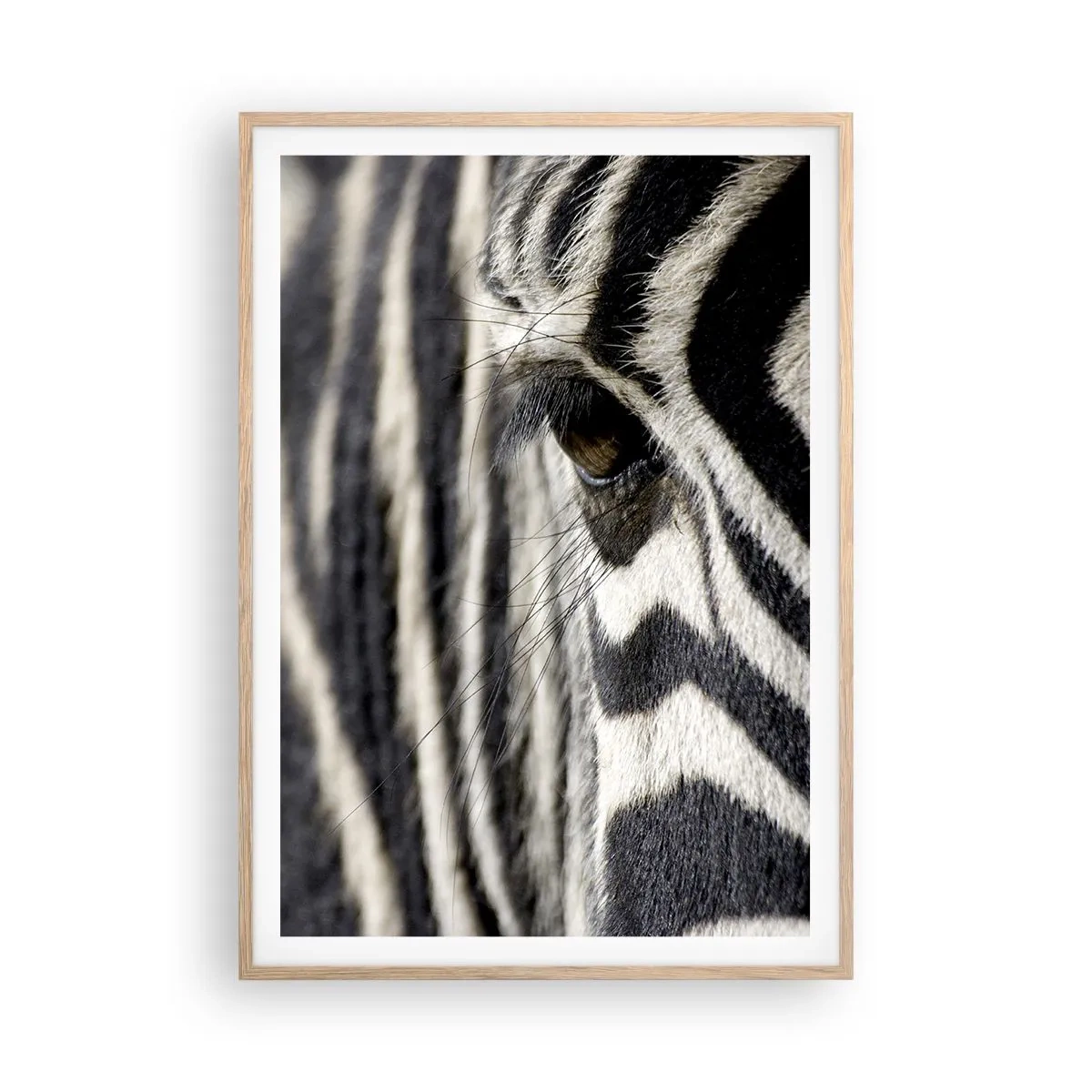 Poster in light oak frame - Striped Portrait - 70x100 cm