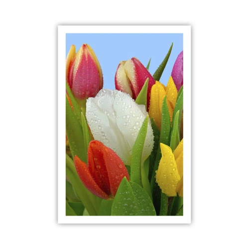 Poster - Floral Rainbow in Dew Drops - 61x91 cm