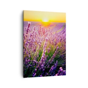 Canvas picture - Fragrant Field - 50x70 cm