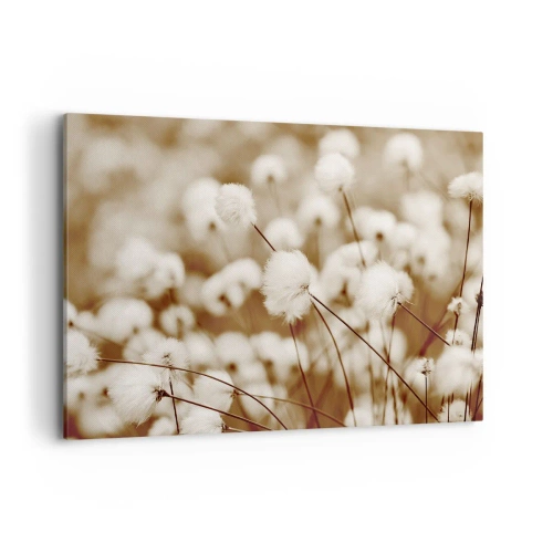 Canvas picture - Fluffy field - 100x70 cm