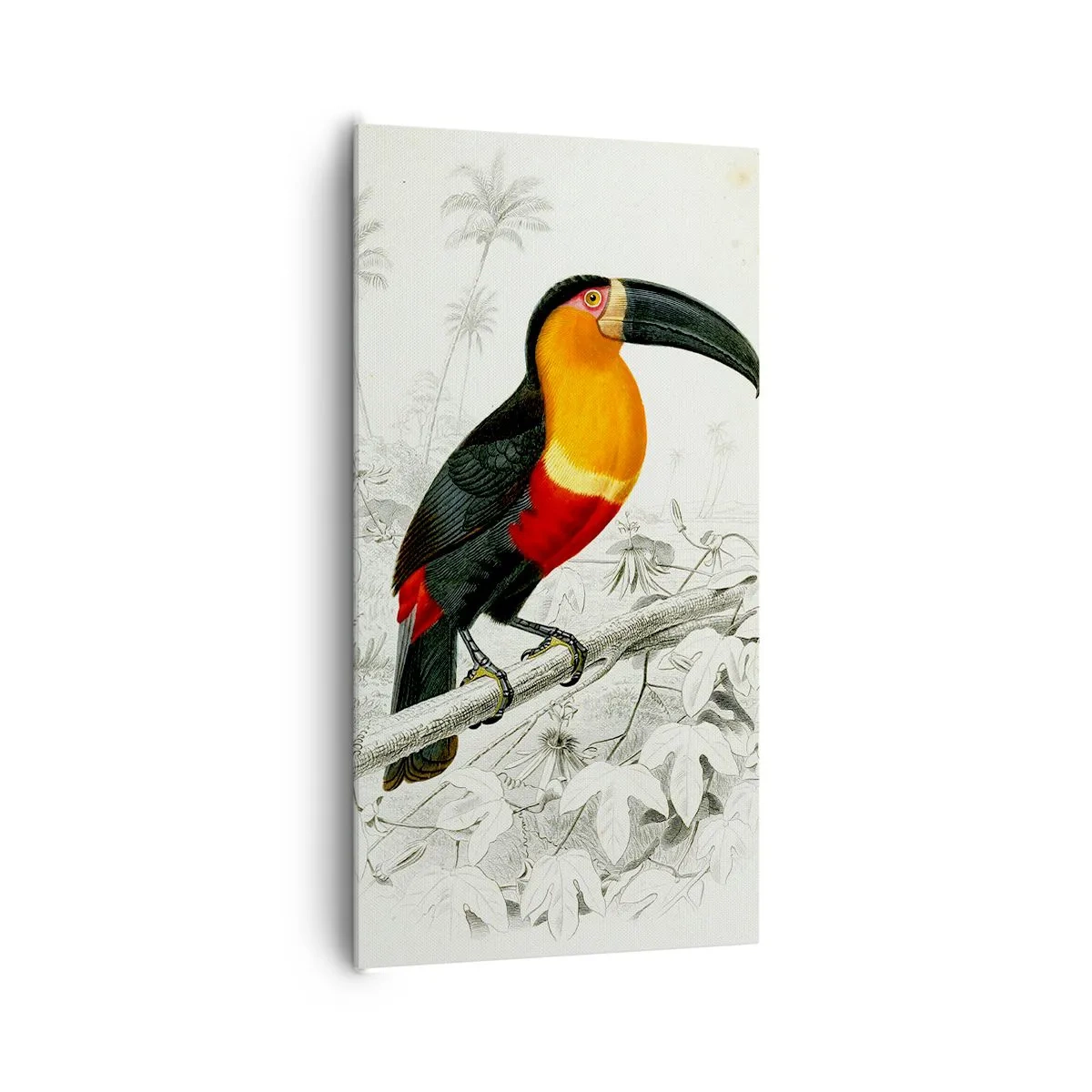Canvas picture - Bird Colours - 65x120 cm