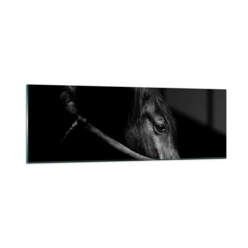 Glass picture - Black Prince - 90x30 cm