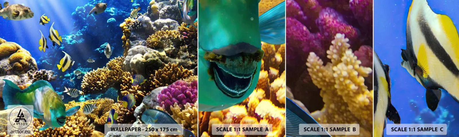 Photo Wallpaper Sample Standard Eco - Big Traffic to Holiday Destination - Coral reef, Ocean, Fish - 100x30 cm