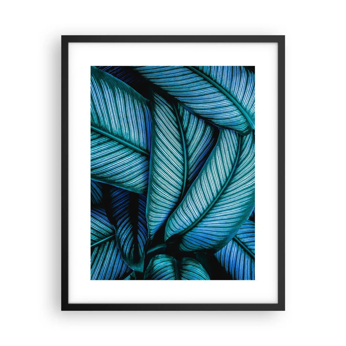 Poster in black frame - Lifelines - 40x50 cm