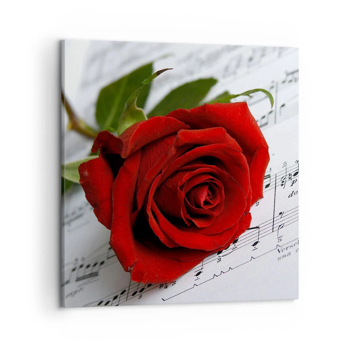 Canvas picture - Music of Feelings in Scarlet - 50x50 cm