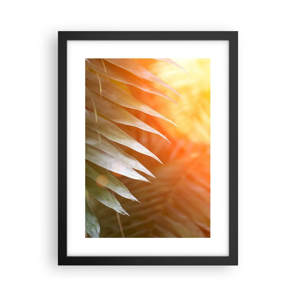 Poster in black frame - Morning in the Jungle - 30x40 cm