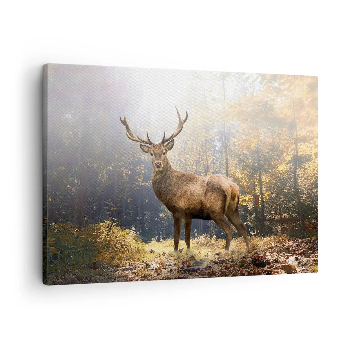 Canvas picture - Deer in the autumn forest with sun rays - 70x50cm - In Full Majesty - Modern wall decoration for the living room and bedroom ARTTOR