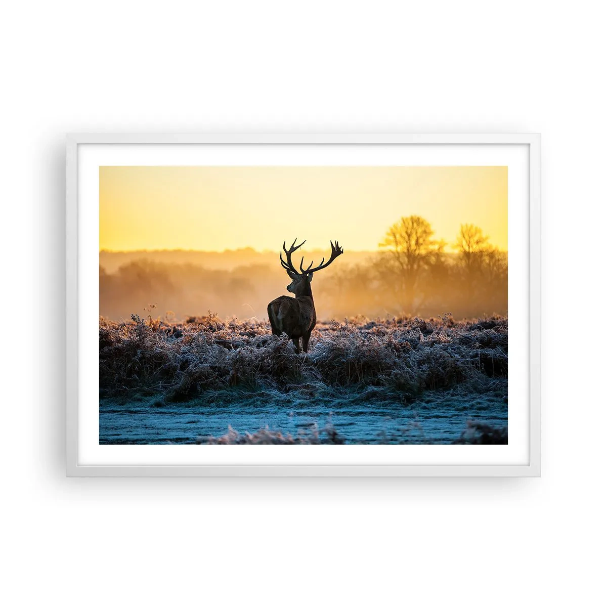 Poster in white frmae - Crowned in Its Kingdom - 70x50 cm