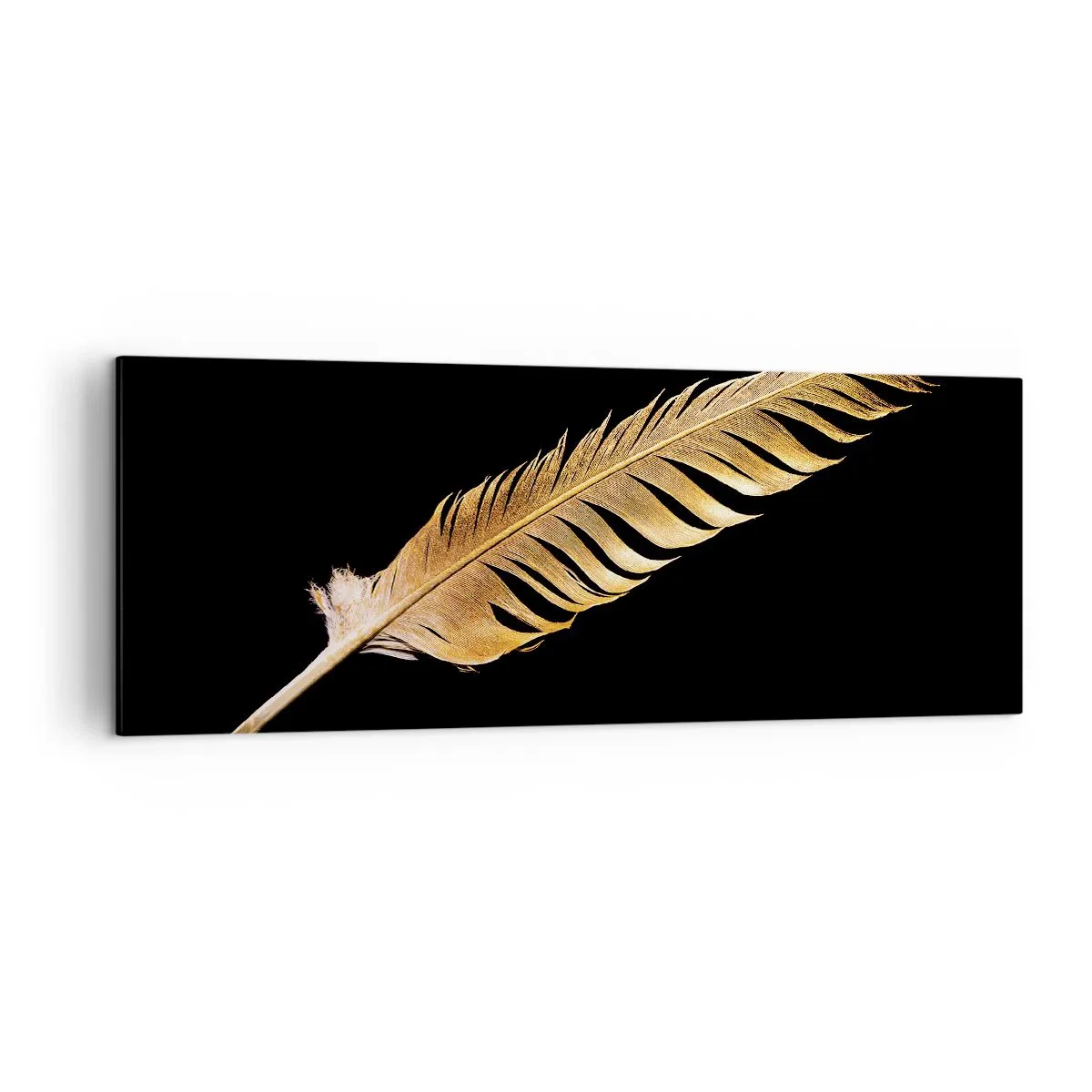 Canvas picture - High-Class Feather - 140x50 cm