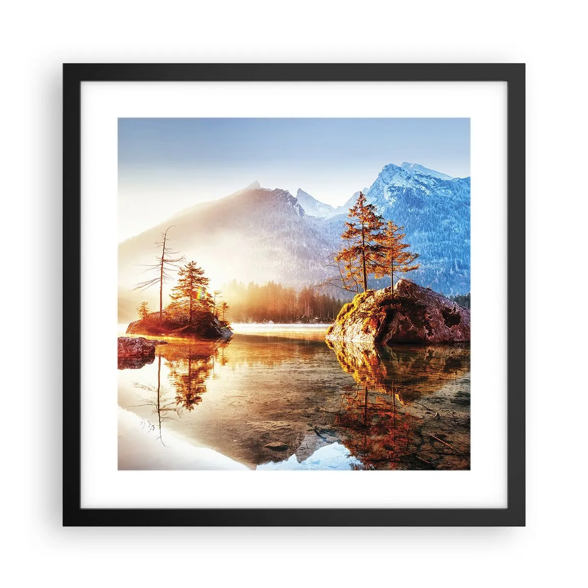 Poster in black frame - Nature in New Light - 40x40 cm