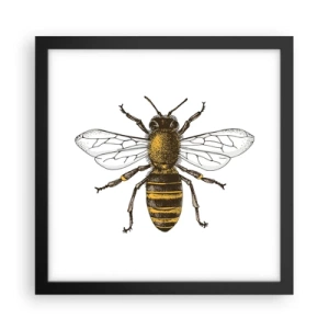 Poster in black frame - Beautiful and Good - 30x30 cm