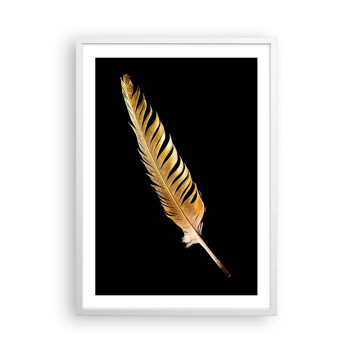 Poster in white frmae - High-Class Feather - 50x70 cm