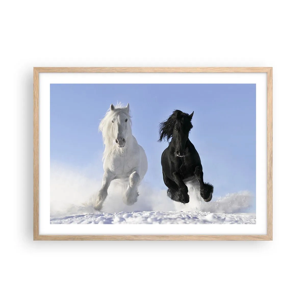 Poster in light oak frame - Black and White Gallop - 70x50 cm