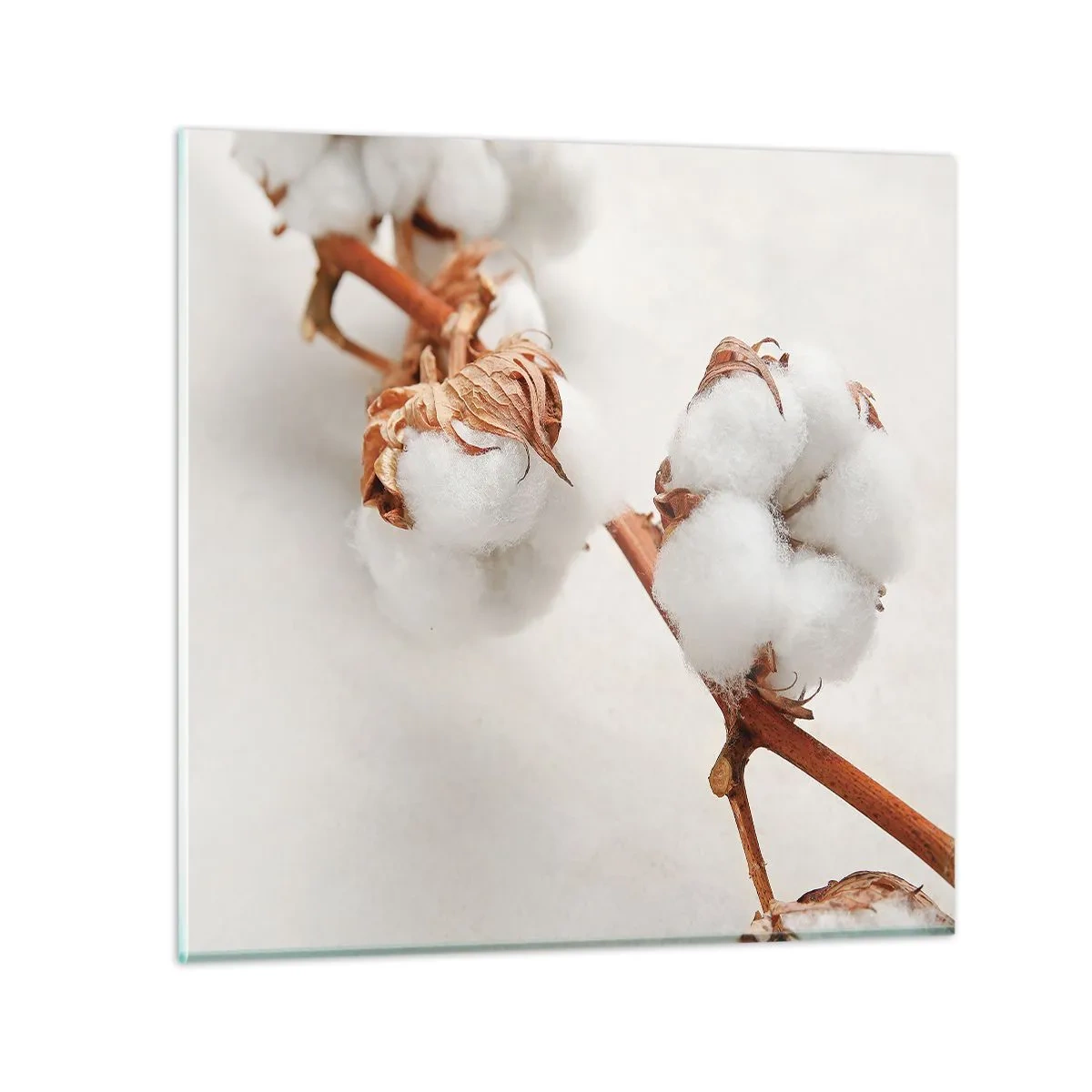 Glass picture - Just Cuddle It - 40x40 cm