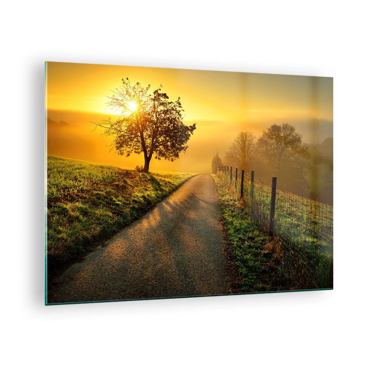 Glass picture - A road through a rural landscape at sunset - 70x50cm - Honey Afternoon - Modern wall decoration for the living room and bedroom ARTTOR