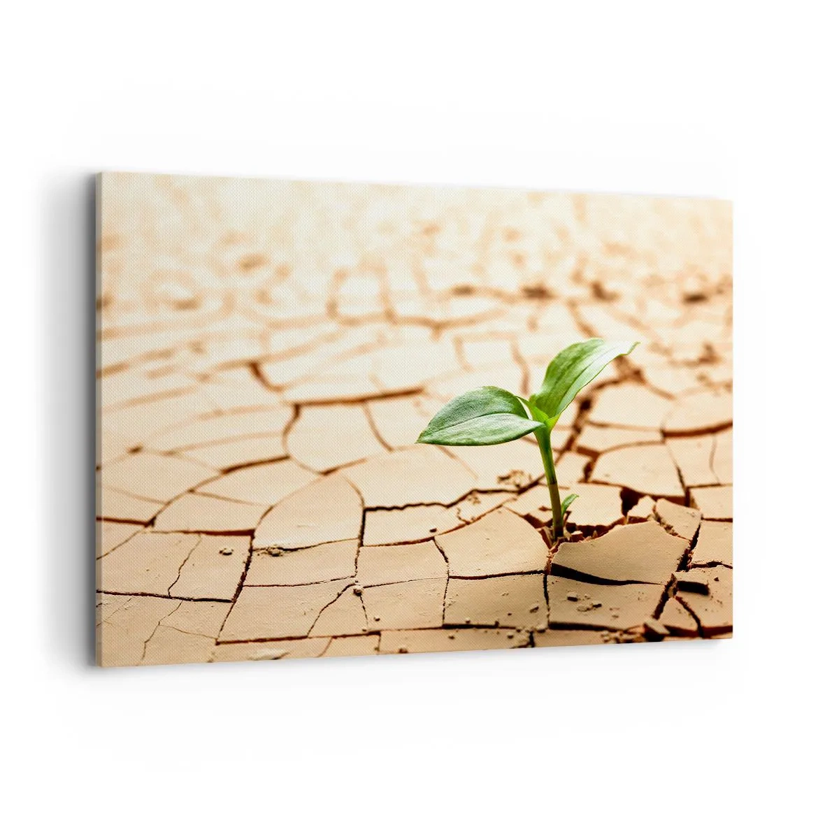 Canvas picture - Untamed Life Force - 120x80 cm