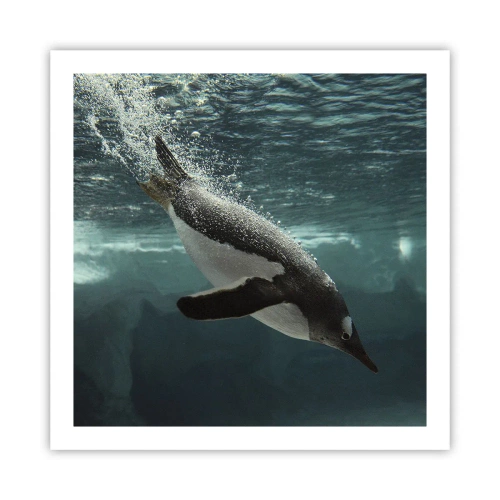 Poster - Welcome to My World - 60x60 cm