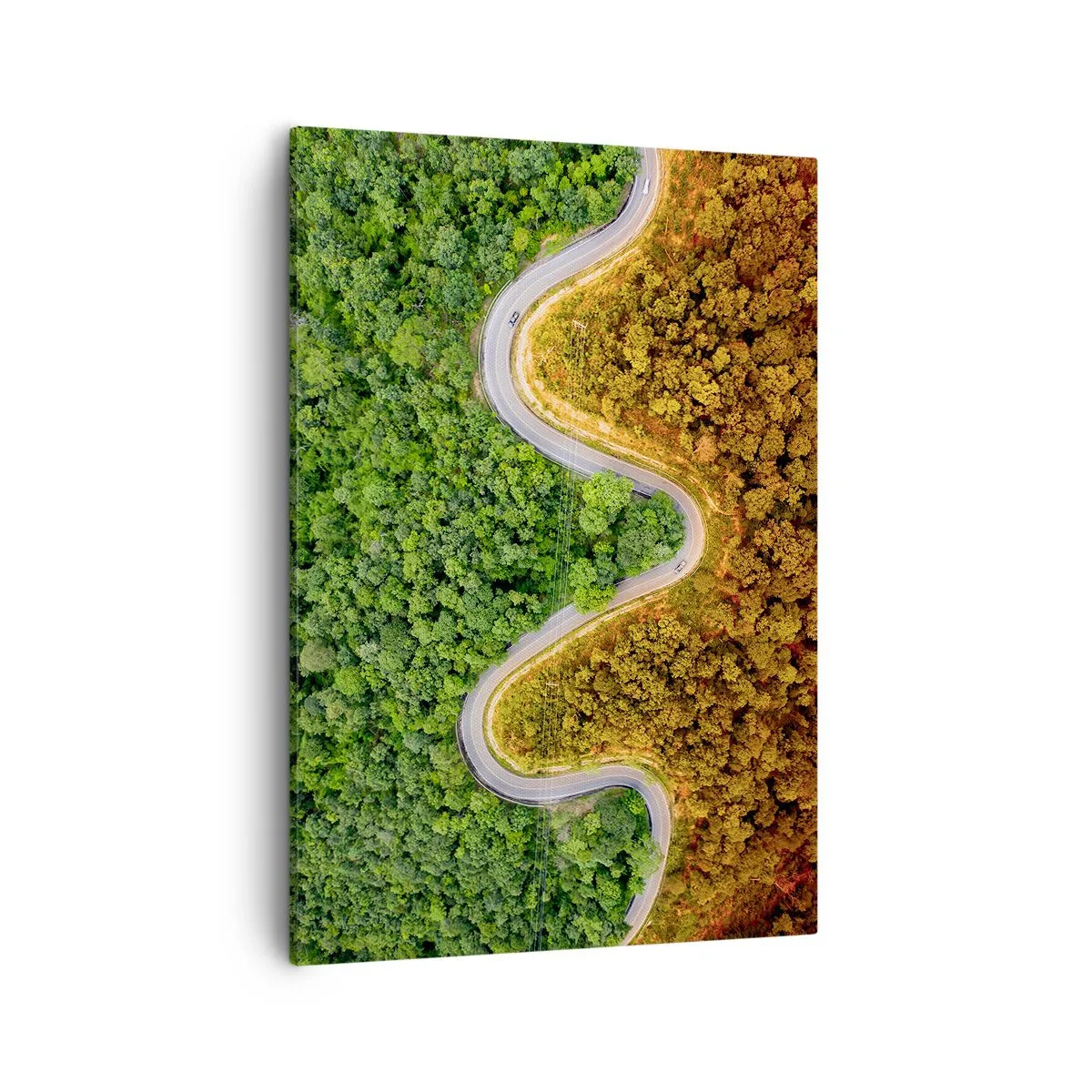 Canvas picture - Borders and Breakthroughs - 50x70 cm