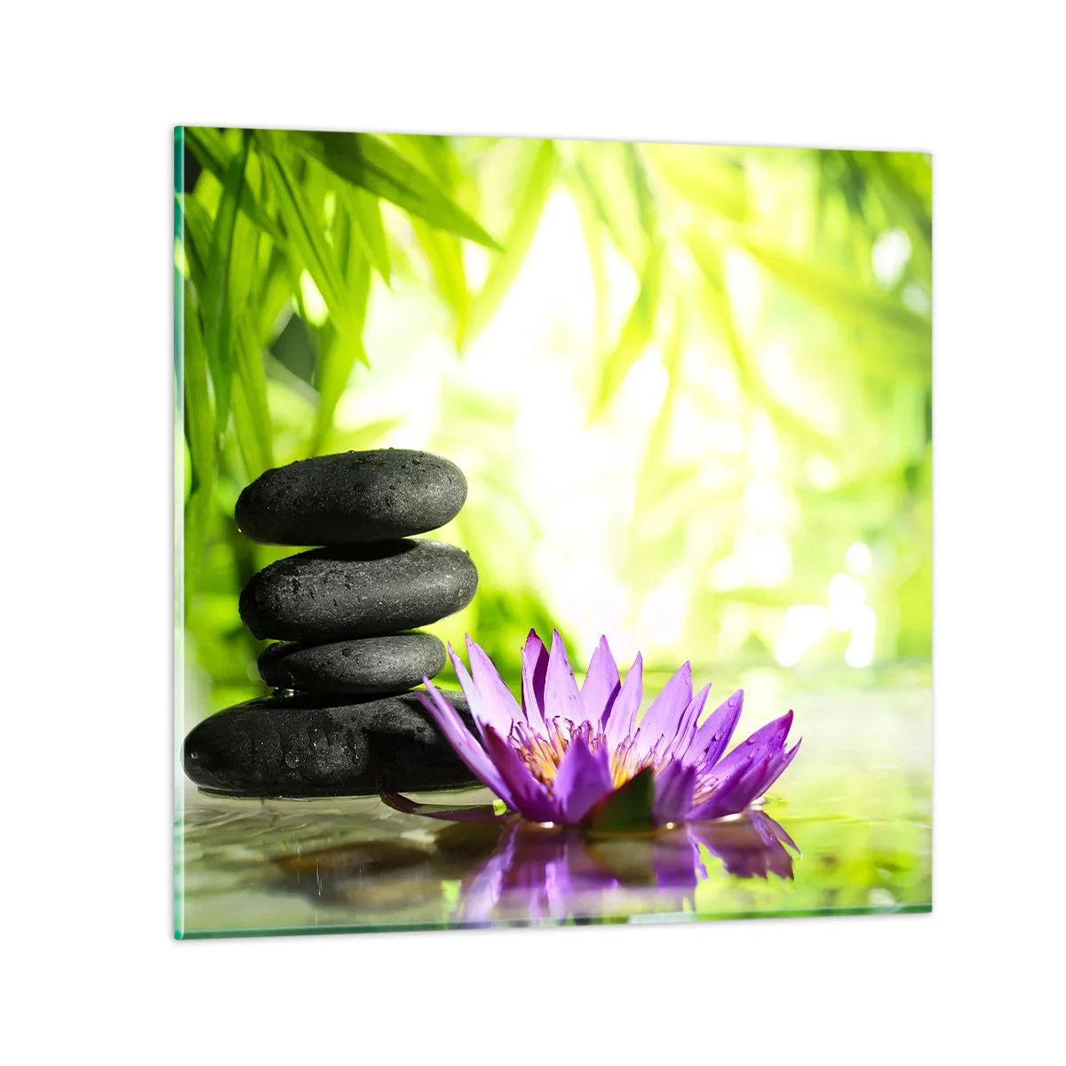 Glass picture - In a Bamboo Grove - 70x70 cm