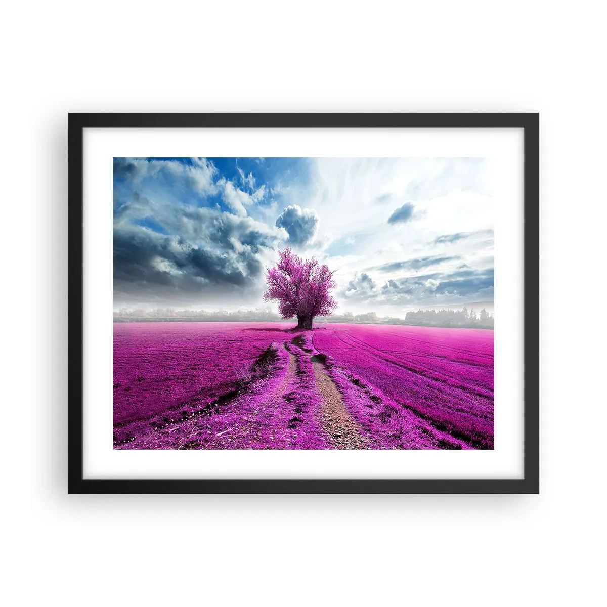 Poster in black frame - Heathland Charm - 50x40 cm