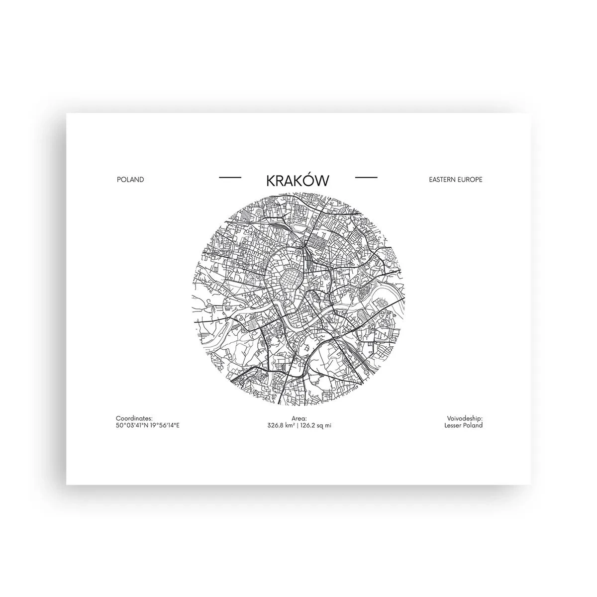 Poster - Anatomy of Crocow - 50x40 cm