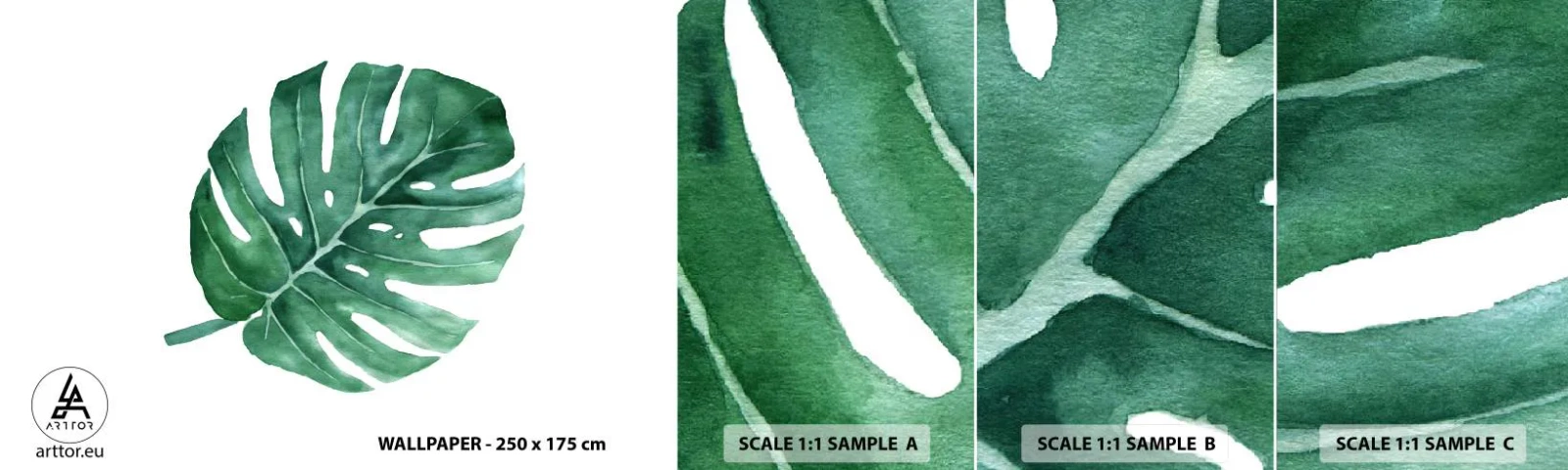 Photo Wallpaper Sample Self-Adhesive Deluxe Sticker - Green Concept - Monstera, Leaf, Boho - 100x30 cm