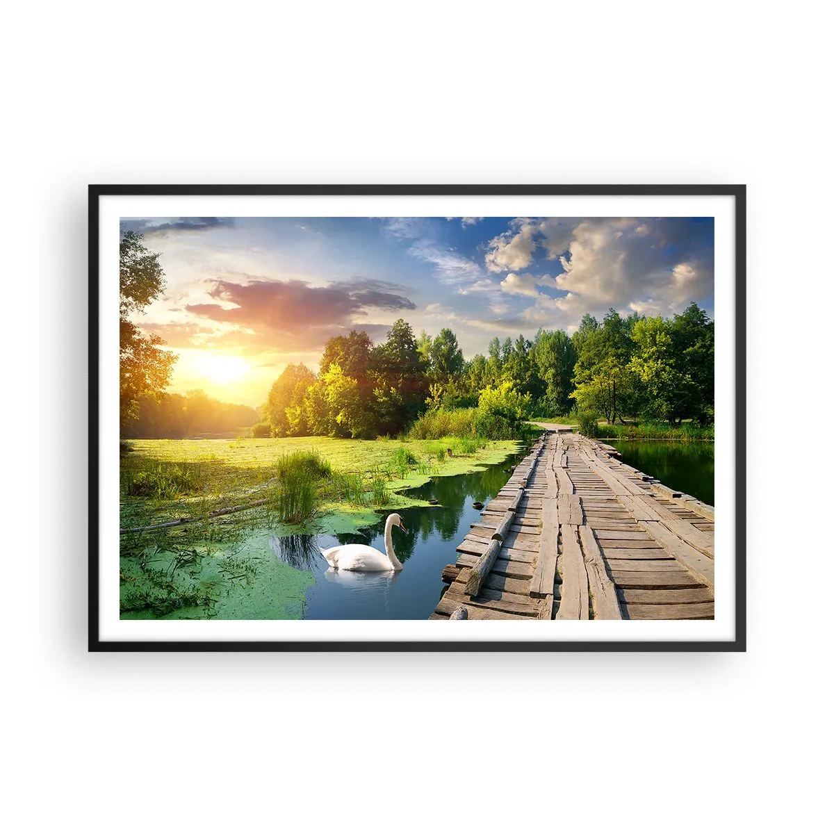Poster in black frame - Summer Everywhere - 100x70 cm