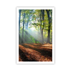 Poster - Highs And Lows - 61x91 cm