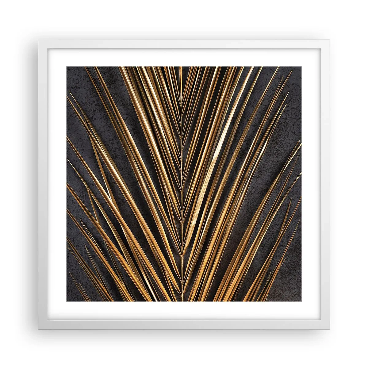 Poster in white frmae - Gold of the Tropics - 50x50 cm