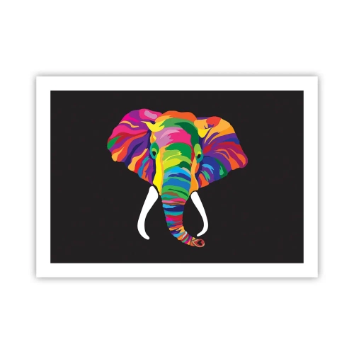 Poster - Elephant That Enjoyed Rainbow Bath - 70x50 cm