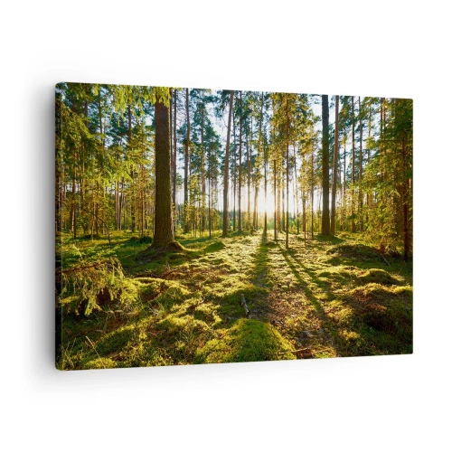 Canvas picture - Green forest illuminated by sunlight on the moss - 70x50cm - Deep in the Forest - Modern wall decoration for the living room and bedroom ARTTOR
