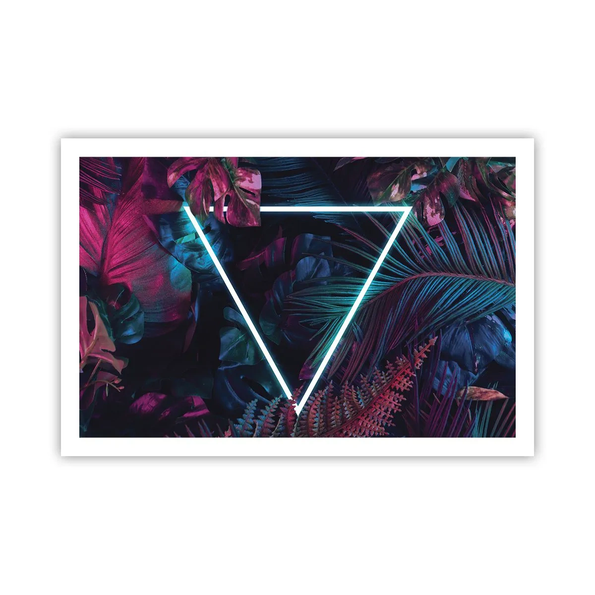 Poster - Disco Style Garden - 91x61 cm