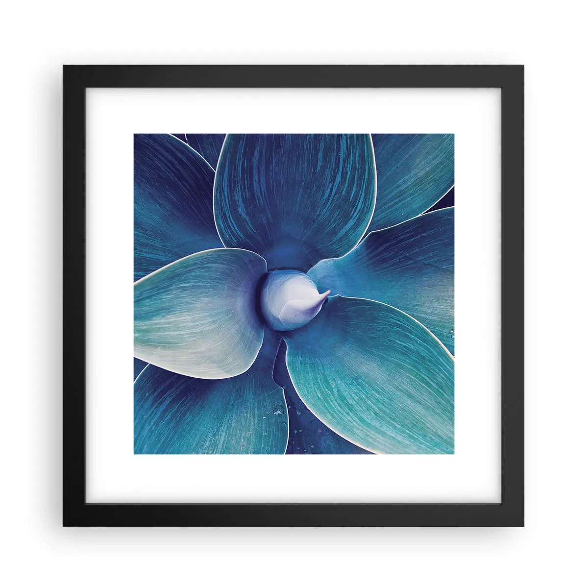Poster in black frame - Blue from the Sky - 30x30 cm
