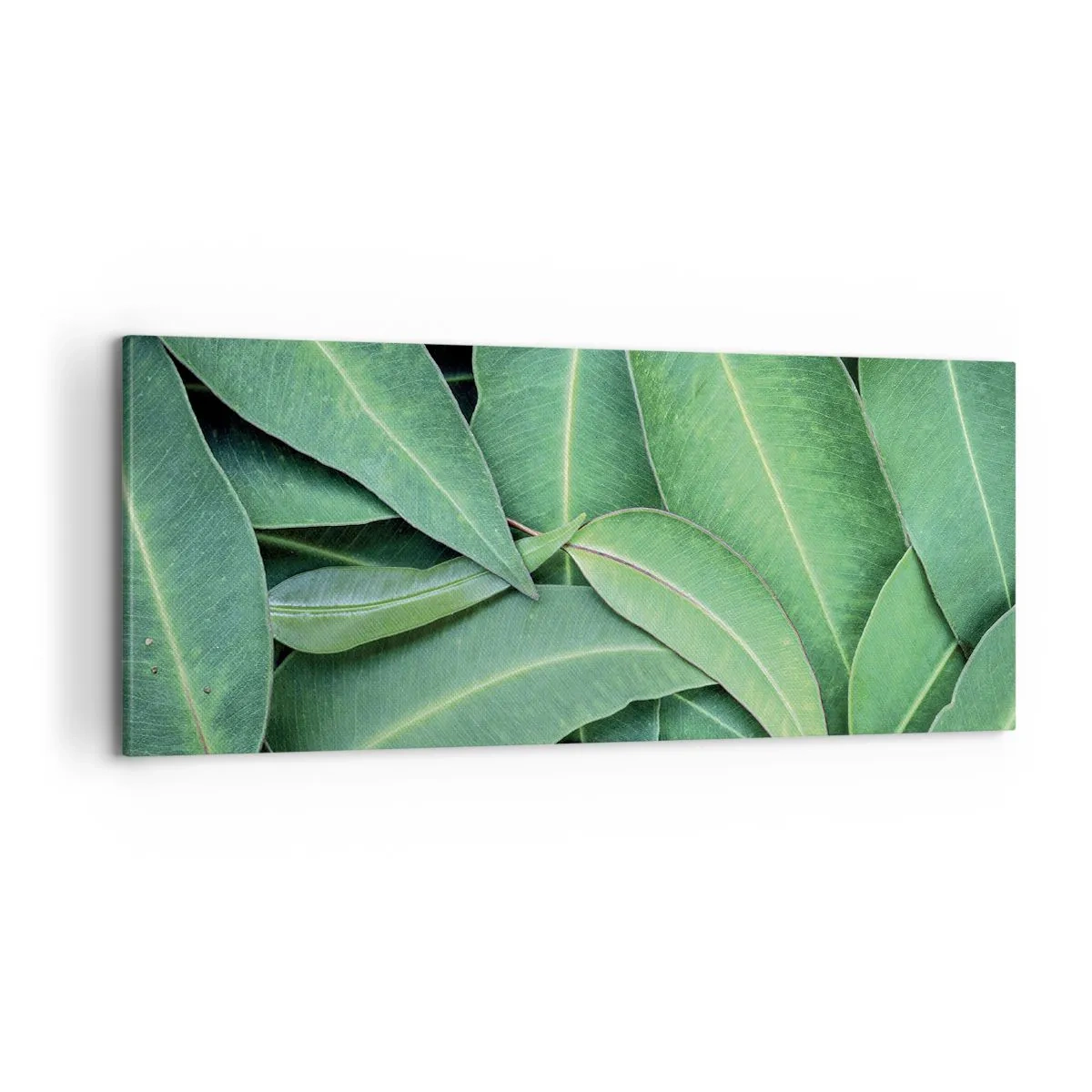 Canvas picture - Juicy and Fresh - 100x40 cm
