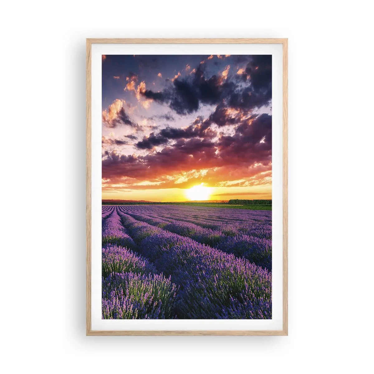 Poster in light oak frame - Lavender World - 61x91 cm