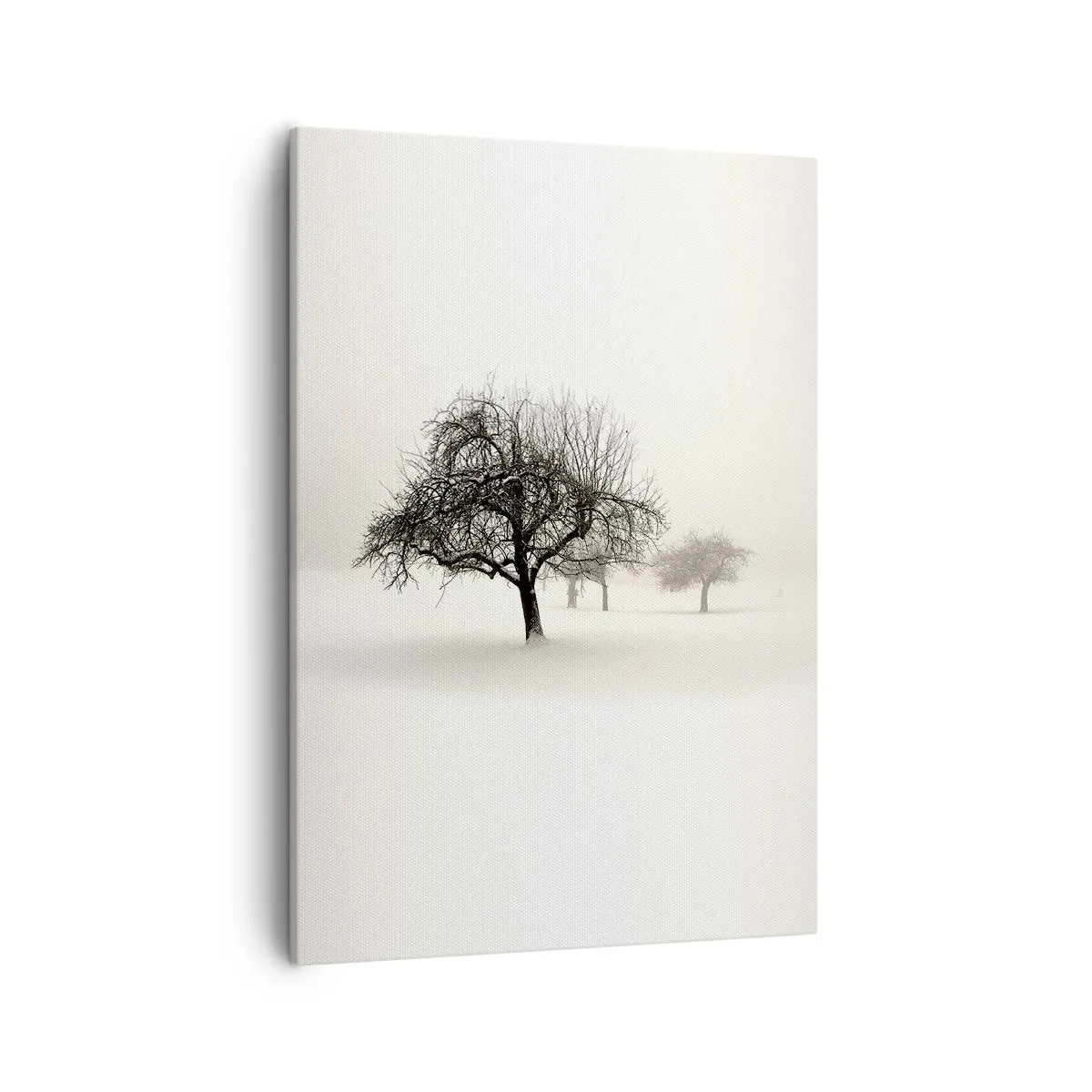 Canvas picture - Winter Dream - 50x70 cm